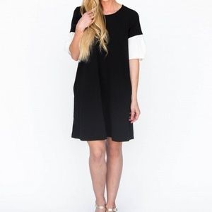Shift Dress, Black with White sleeves